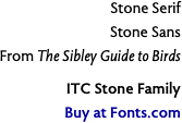 Stone Serif