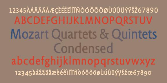 MagmaCndbanner1440x720